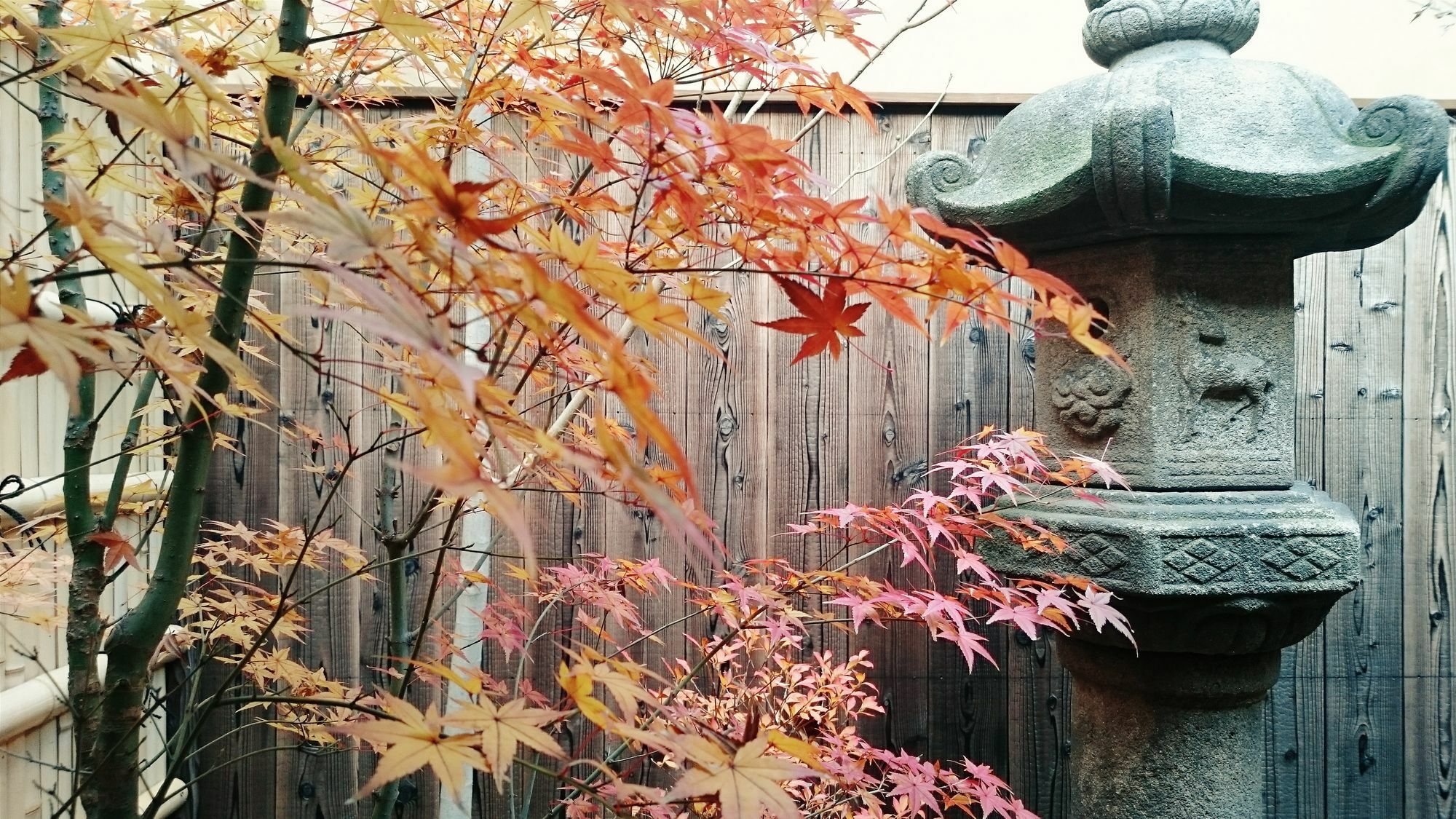 Guest House Bokuyado Kyōto Esterno foto